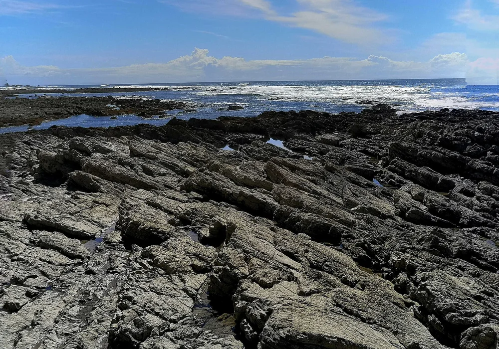 Palm-lined horseshoe bay and gentle waves at Playa Sámara, Guanacaste